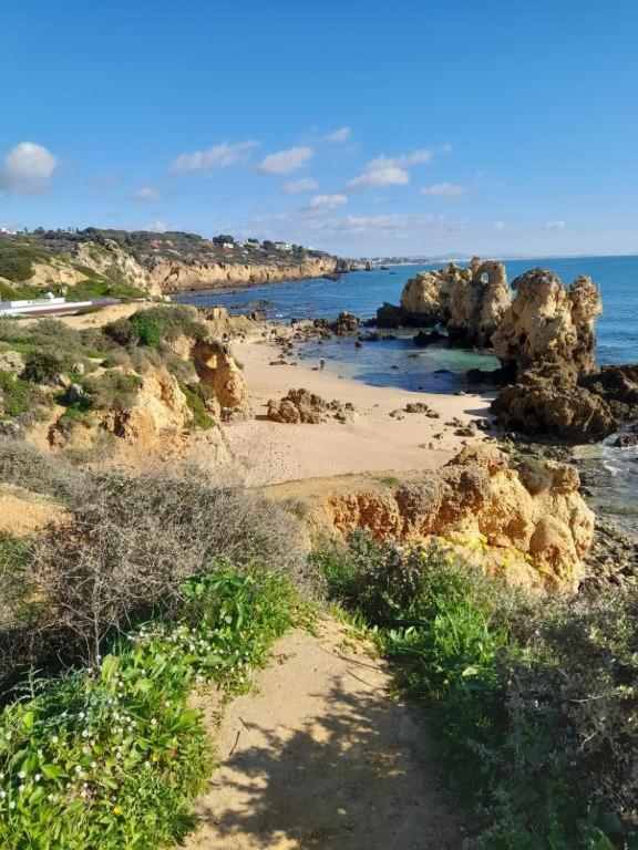 Estudio Puertorico T0 Em Albufeira Gale Kültér fotó